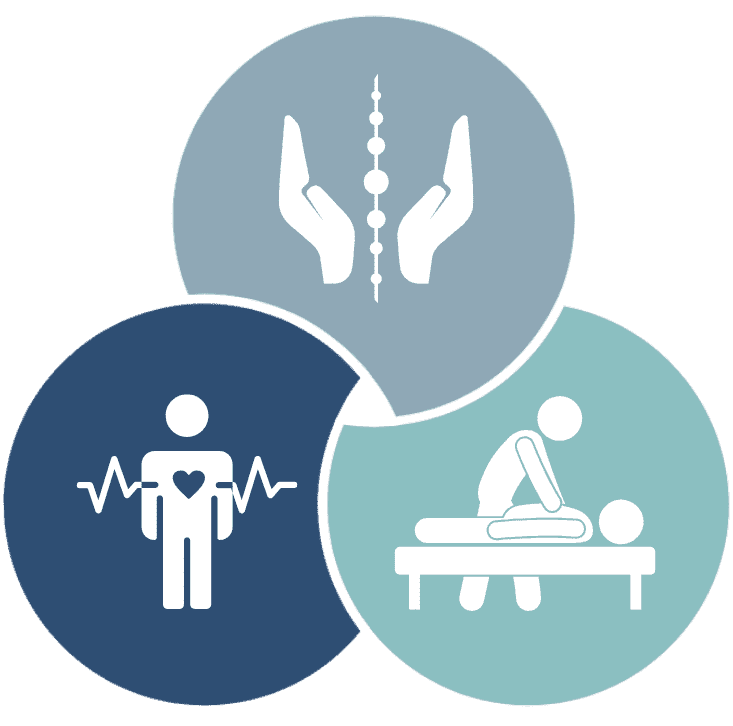 wellness wheel highlighting exercise